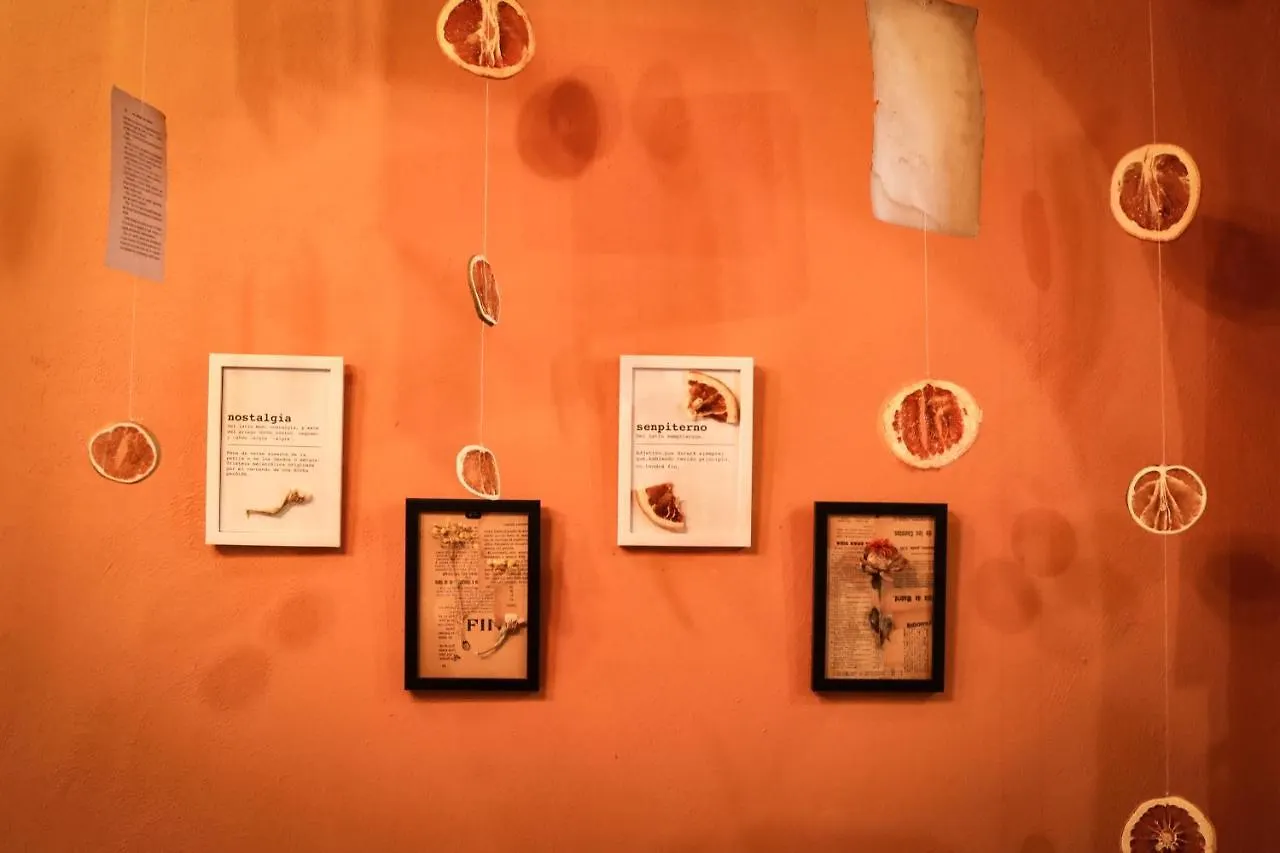 Kuka Y Letras Bed & Breakfast Merida 0*,